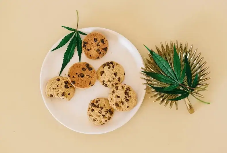 Hemp Edibles