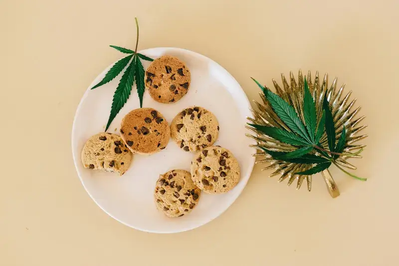 Hemp Edibles